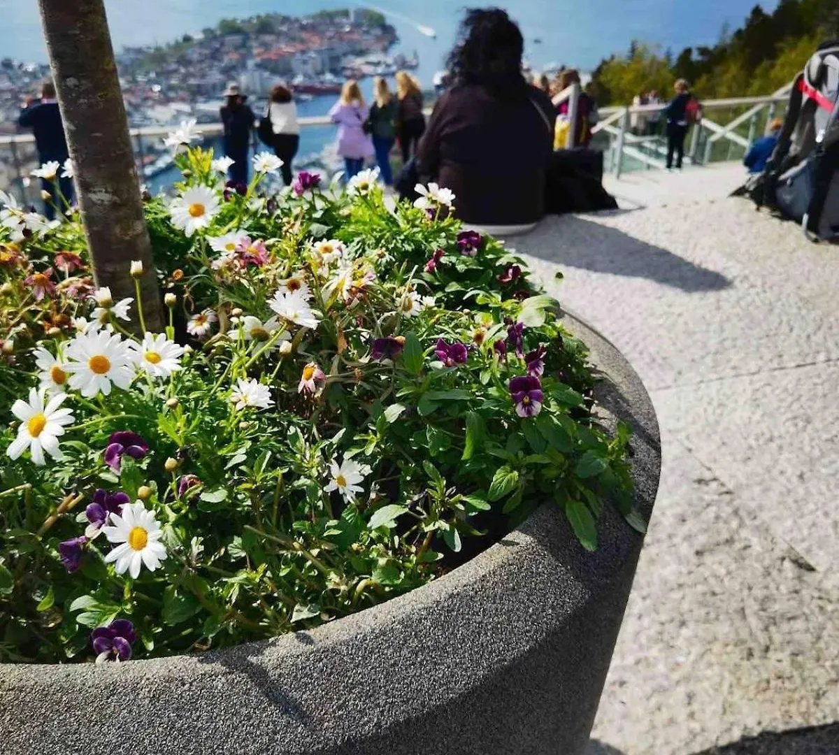 Floien City Apartment -Free Parking Bergen